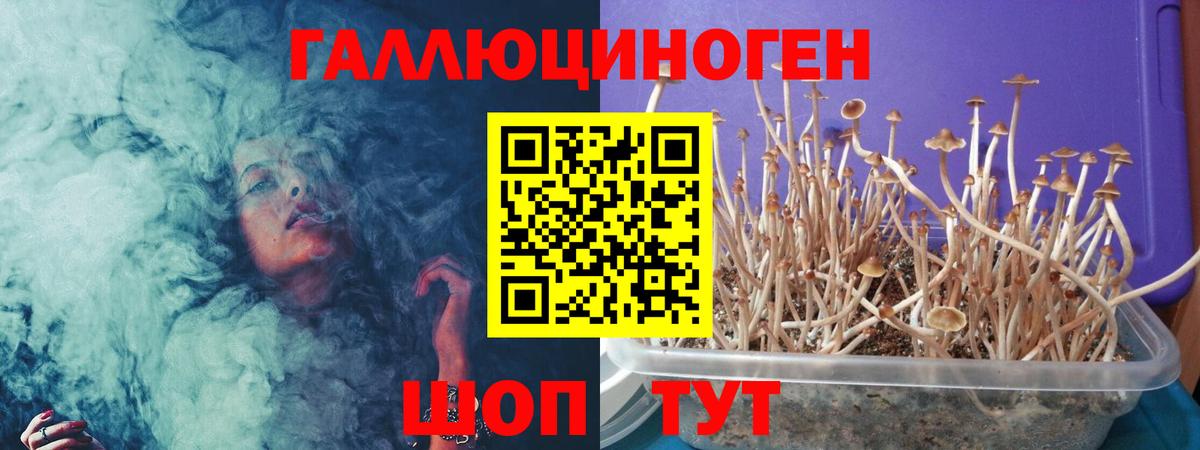 Галлюциногенные грибы прущие грибы  Галлюциногенные грибы Magic Shrooms  Балашов  Вход с VPN 