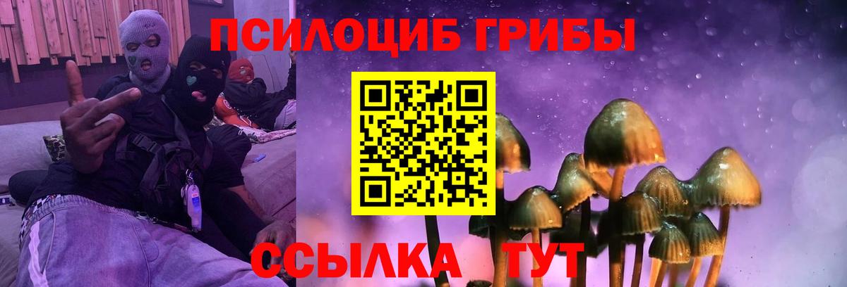 Псилоцибиновые грибы GOLDEN TEACHER Балашов